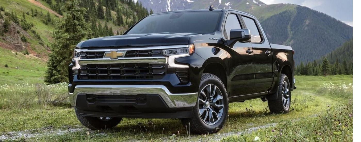 A black 2022 Chevy Silverado 1500 parked in a field.