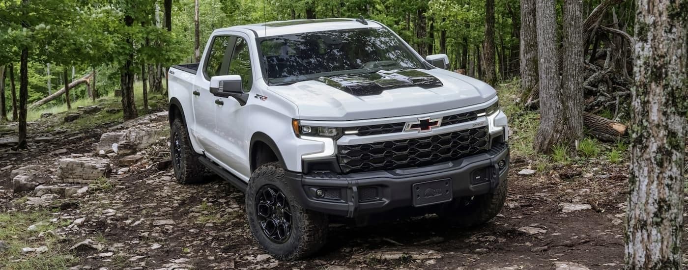 A white 2023 Chevy Silverado 1500 ZR2 parked in the forest.