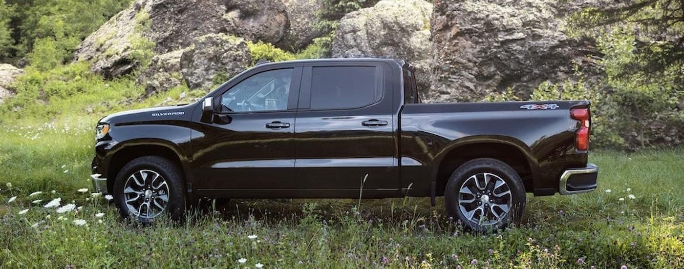 A black 2022 Chevy Silverado 1500 parked in a field.
