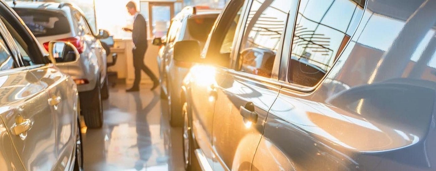 A person looking for a used car dealer me.