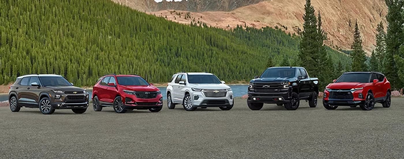 Chevy lineup at North Park Chevrolet Castroville in Castroville, TX.
